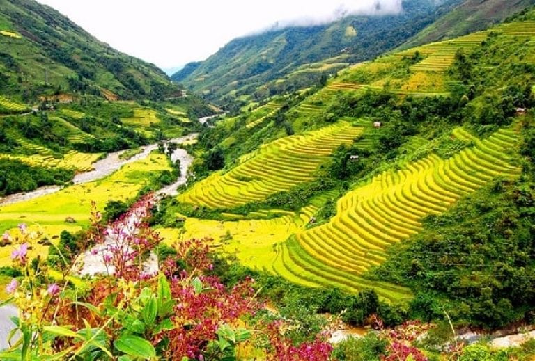 10 Charming Features In Sapa