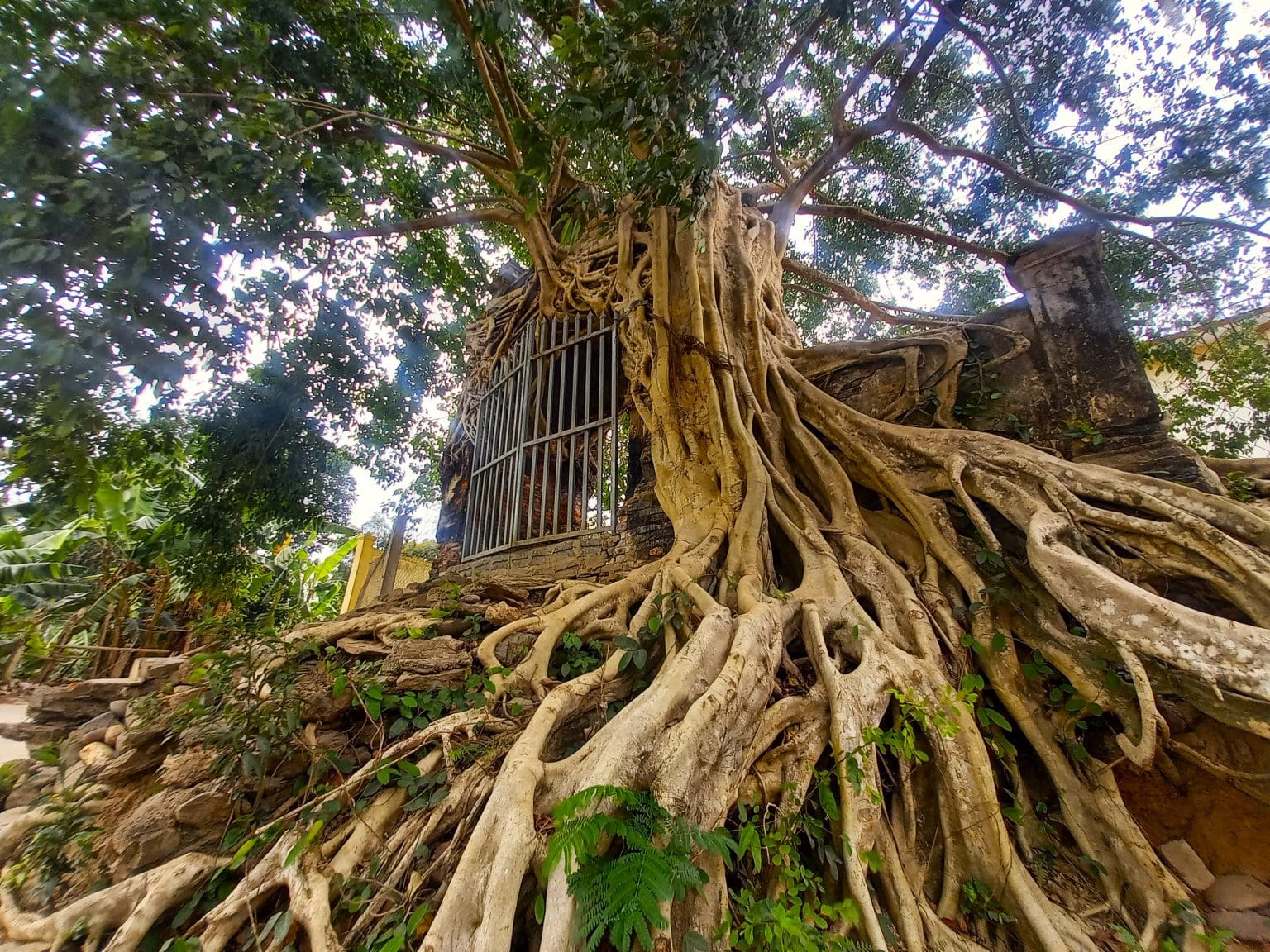 The Muong Long Loop | Nghe An Motorbike Guide