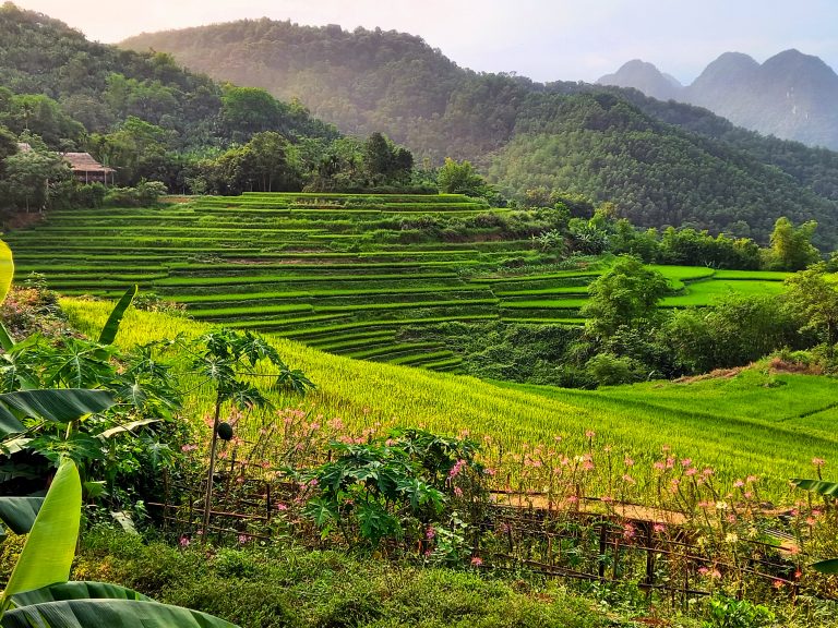 Limestone Loops | Motorbike Guide