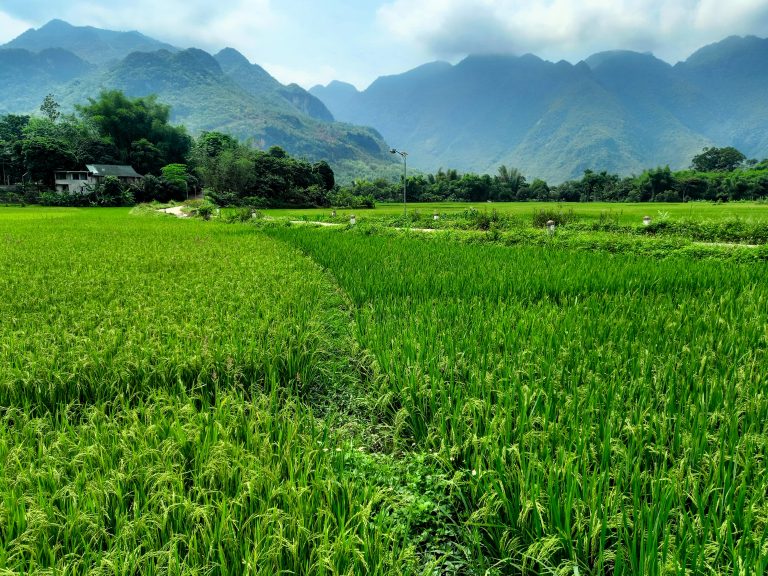 Limestone Loops | Motorbike Guide