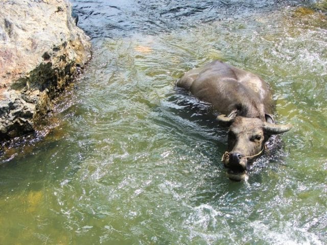 The Northeast by Motorbike: 5 Routes & Loops