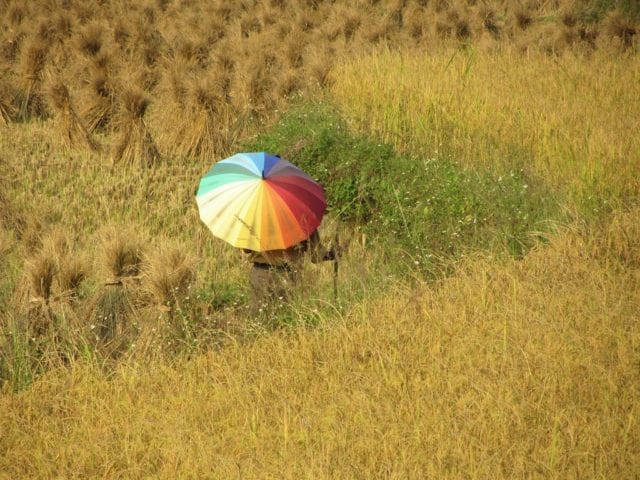 The Northeast by Motorbike: 5 Routes & Loops