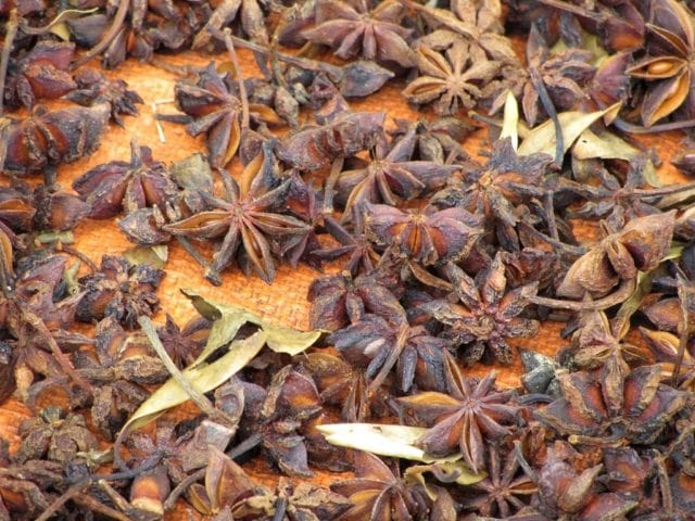 The Northeast by Motorbike: 5 Routes & Loops