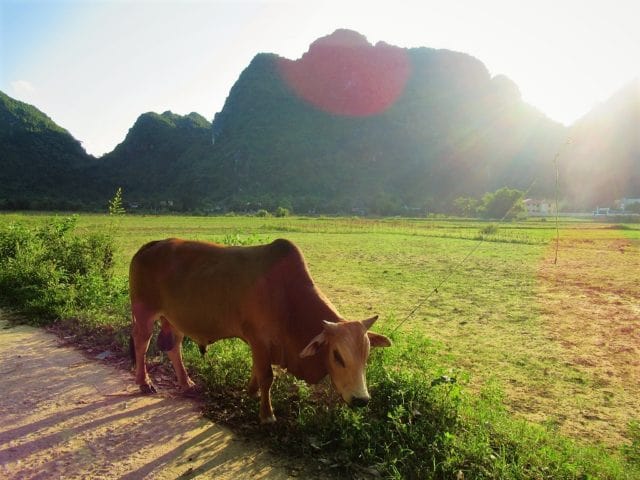 Phong Nha by Motorbike: 5 Routes & Loops