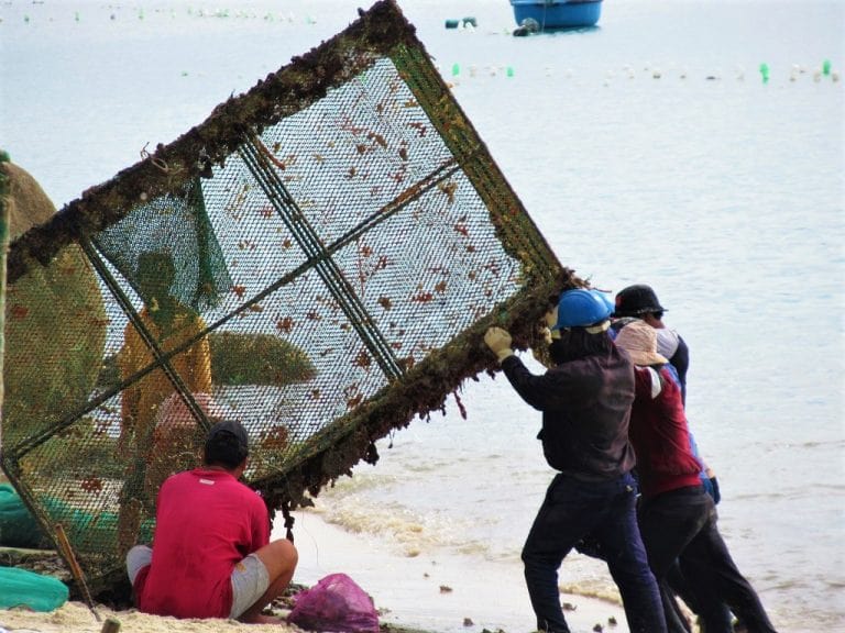 Nui Chua Coast Road | Phan Rang to Cam Ranh