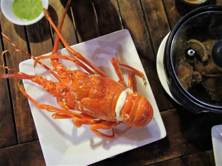 Nui Chua Coast Road | Phan Rang to Cam Ranh