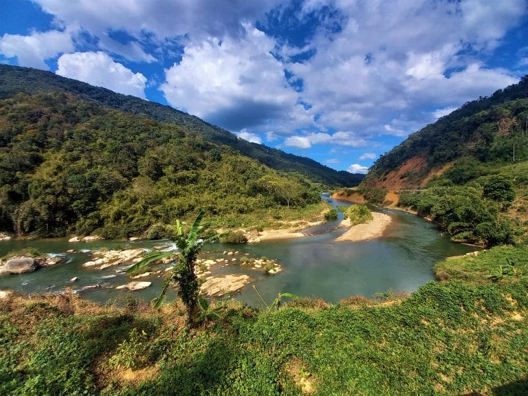 The Pine Tree Road | Motorbike Guide