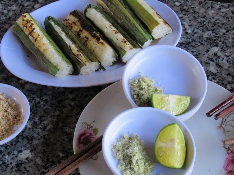 The Pine Tree Road | Motorbike Guide