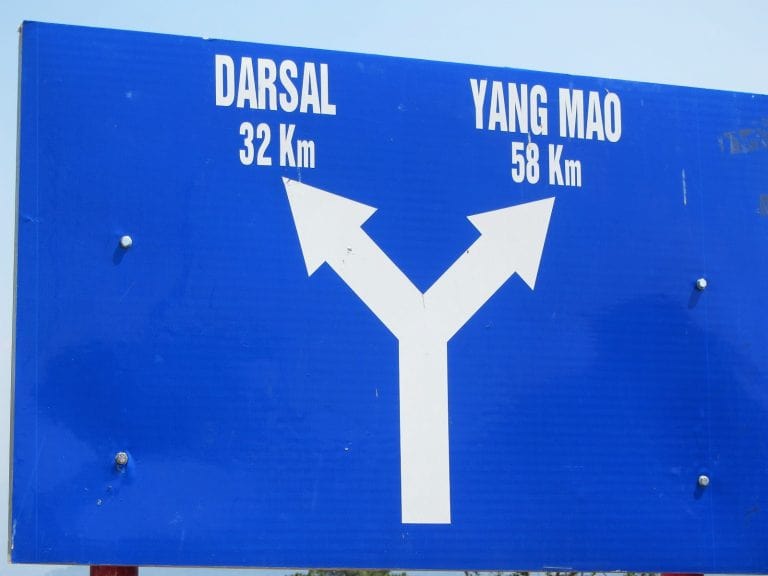 The Pine Tree Road | Motorbike Guide