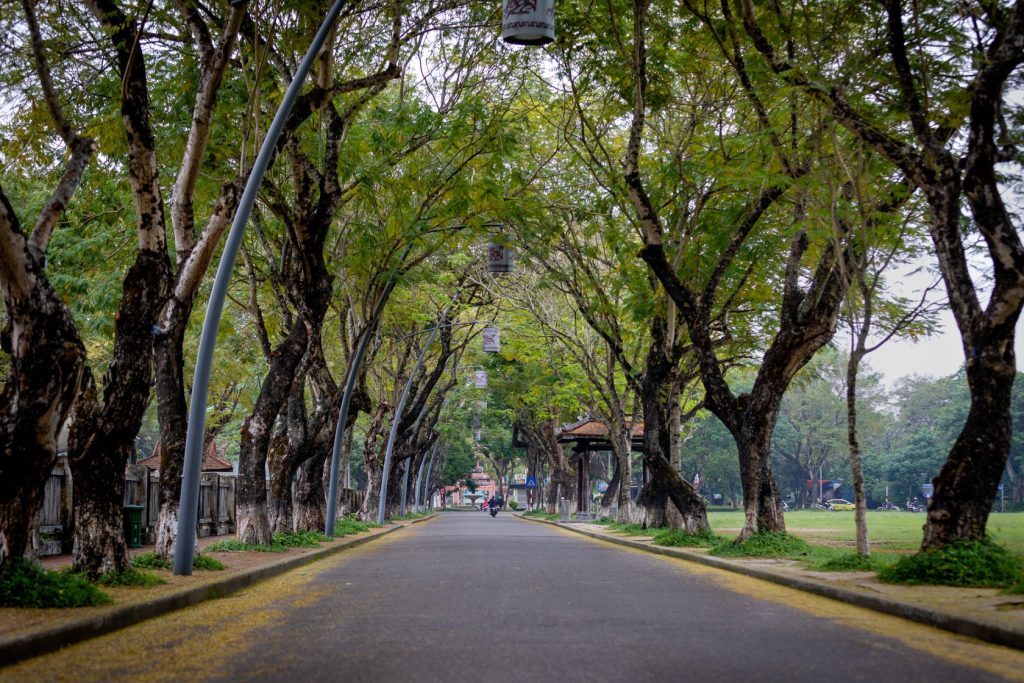 Discovering Hue – The Ancient Breath in Every Street