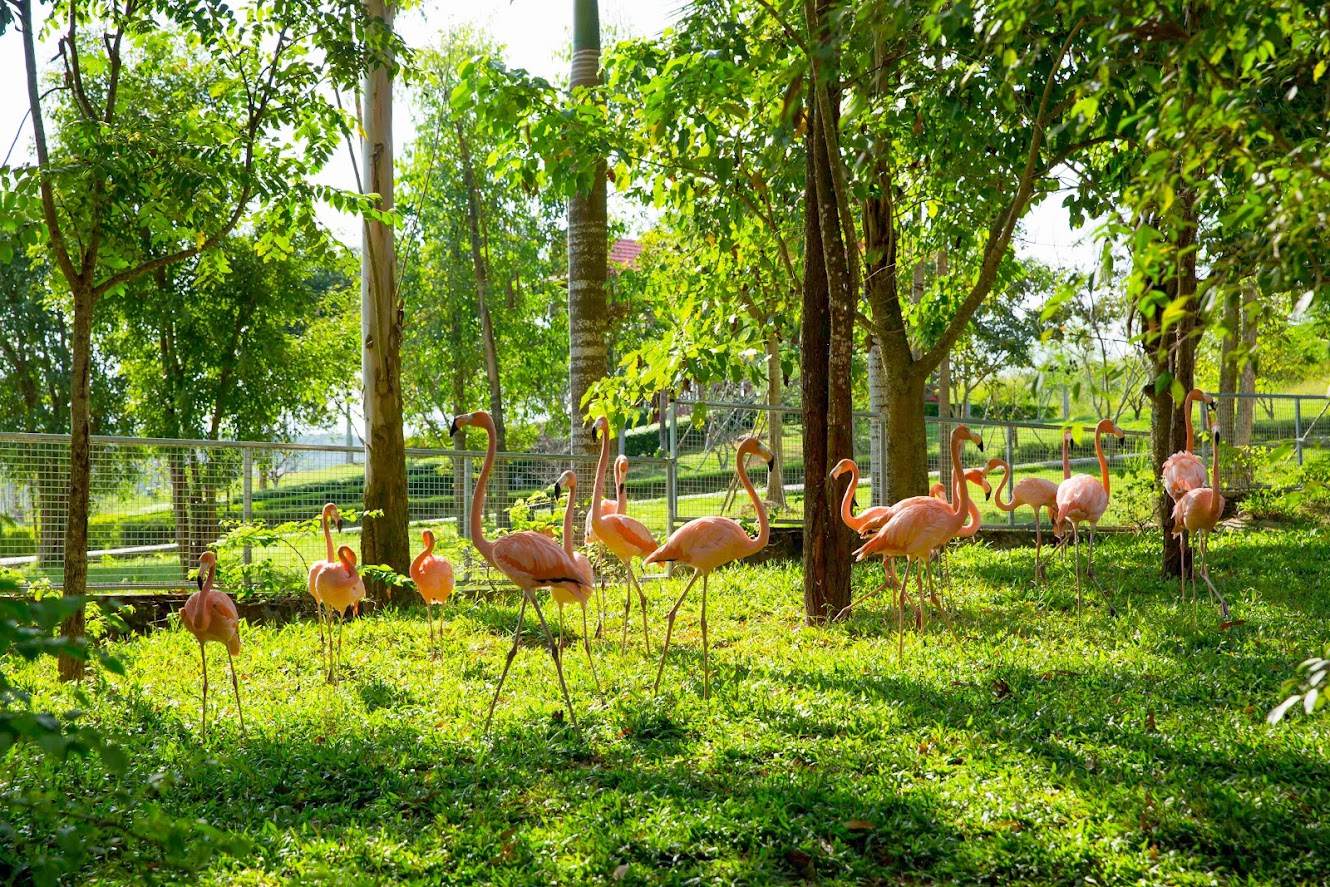 Central Vietnam Travel – Discover Nghe An with Your Two-Wheeled “Steed”