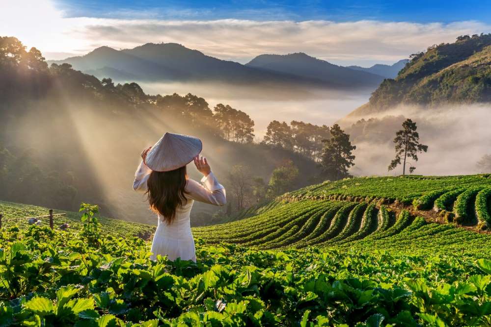 Experiential Travel in Vietnam – Discovering the True Essence of the Journey