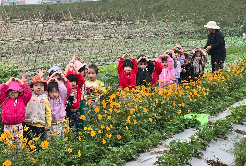 Hung Yen Through the Four Seasons: A Year-Round Journey of Experiences