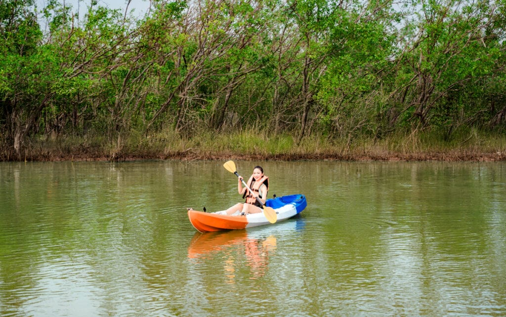 Dragon Mangrove Forest – A Green Journey in the Heart of Hai Phong