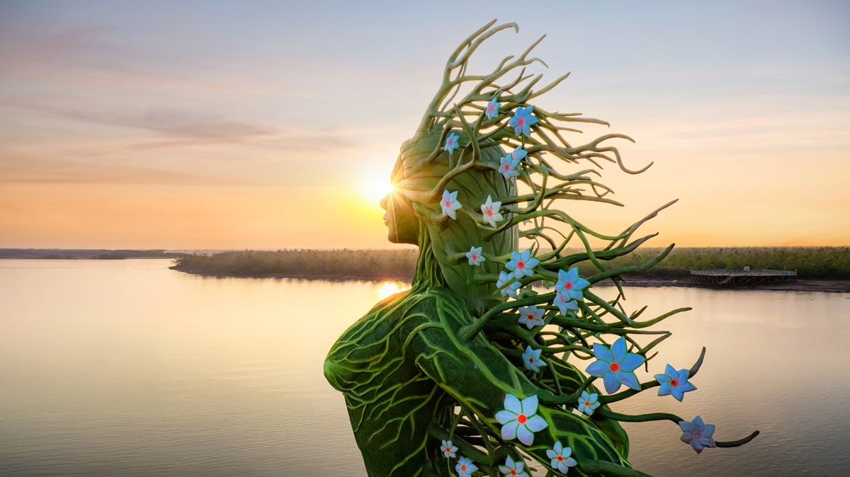Dragon Mangrove Forest – A Green Journey in the Heart of Hai Phong