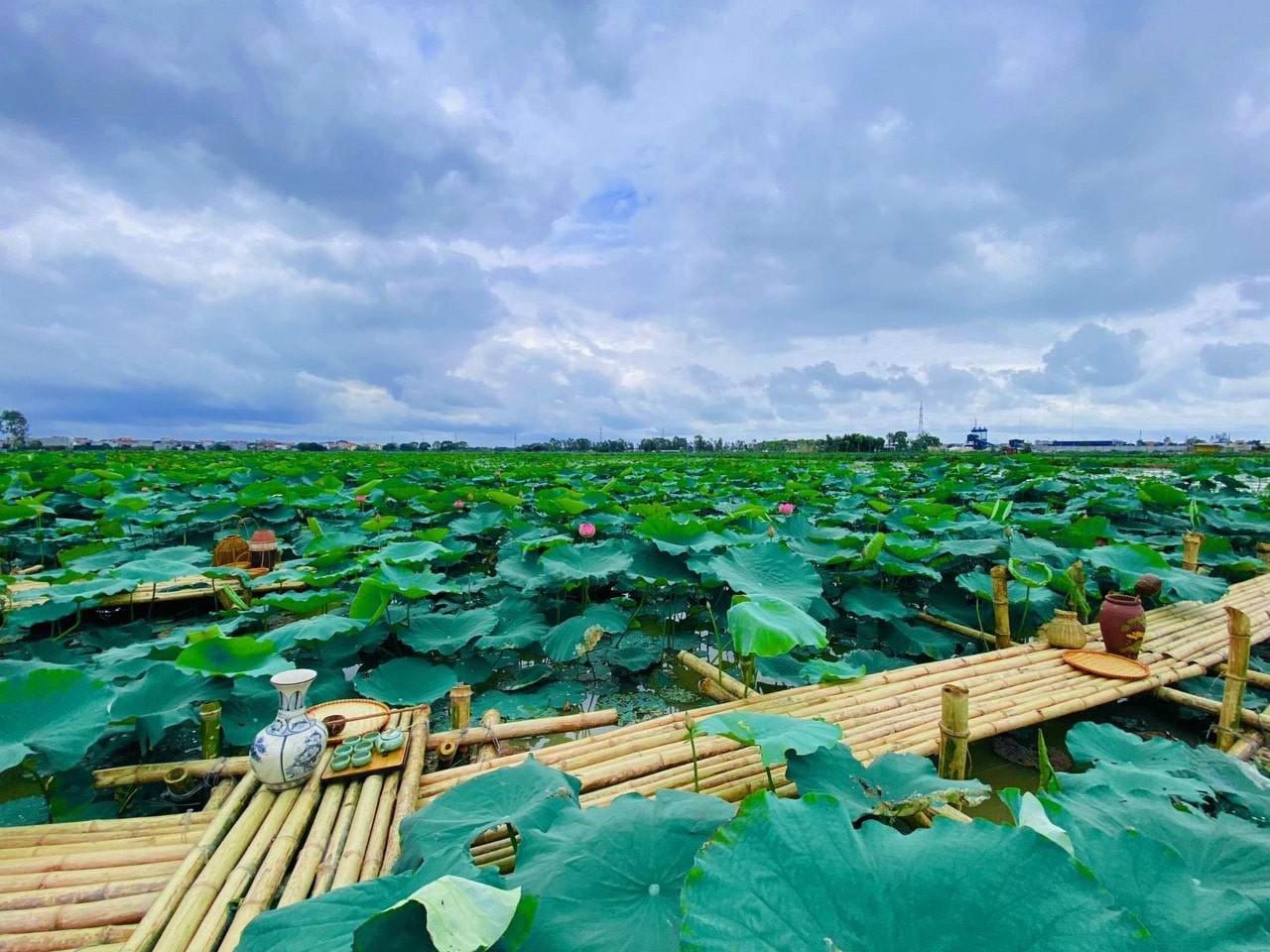 Hung Yen Through the Four Seasons: A Year-Round Journey of Experiences