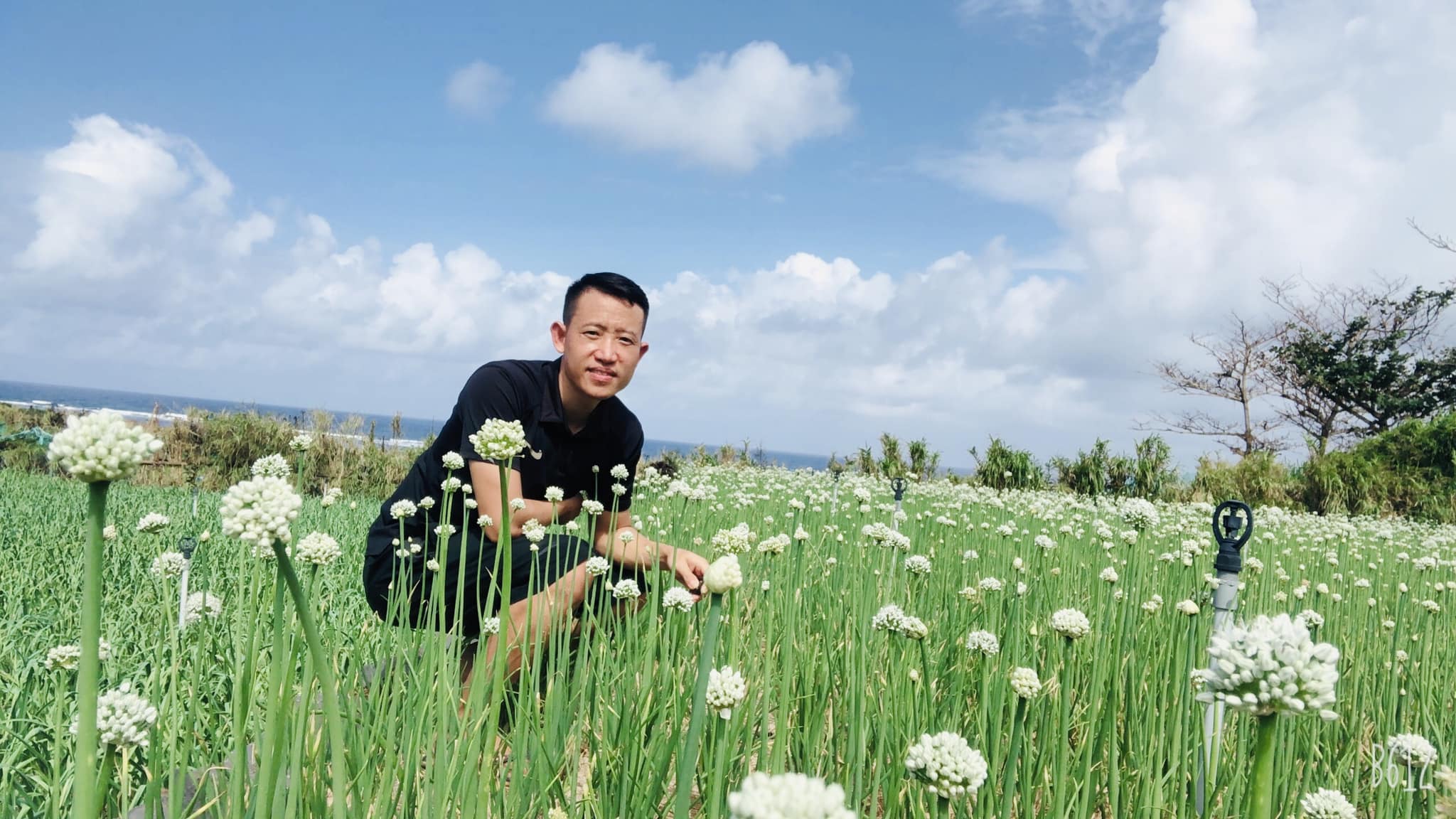Ly Son Island – A Love Song of Turquoise Seas, Ancient Volcanoes, and the Wind of Quang Ngai